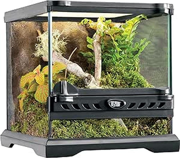 Exo Terra Reptilien Terrarium aus Glas, mit einzigartiger Front Belüftung, 20 x 20 x 20cm, 20 x 20 x