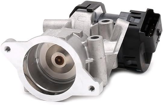 Delphi EG10395-12B1 Agr-Ventil