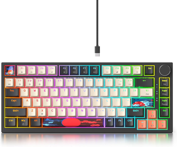 SOLIDEE Verkabelte 75% Mechanische Gaming-Tastatur,hot-swap-fähige Mechanische Tastatur mit Gasket S