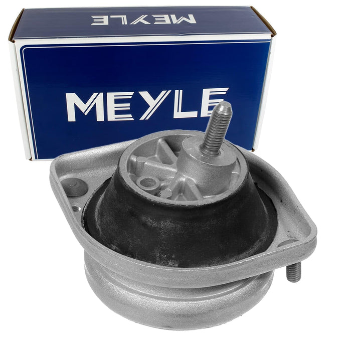 Meyle 300 221 1103 Lagerung, Motor