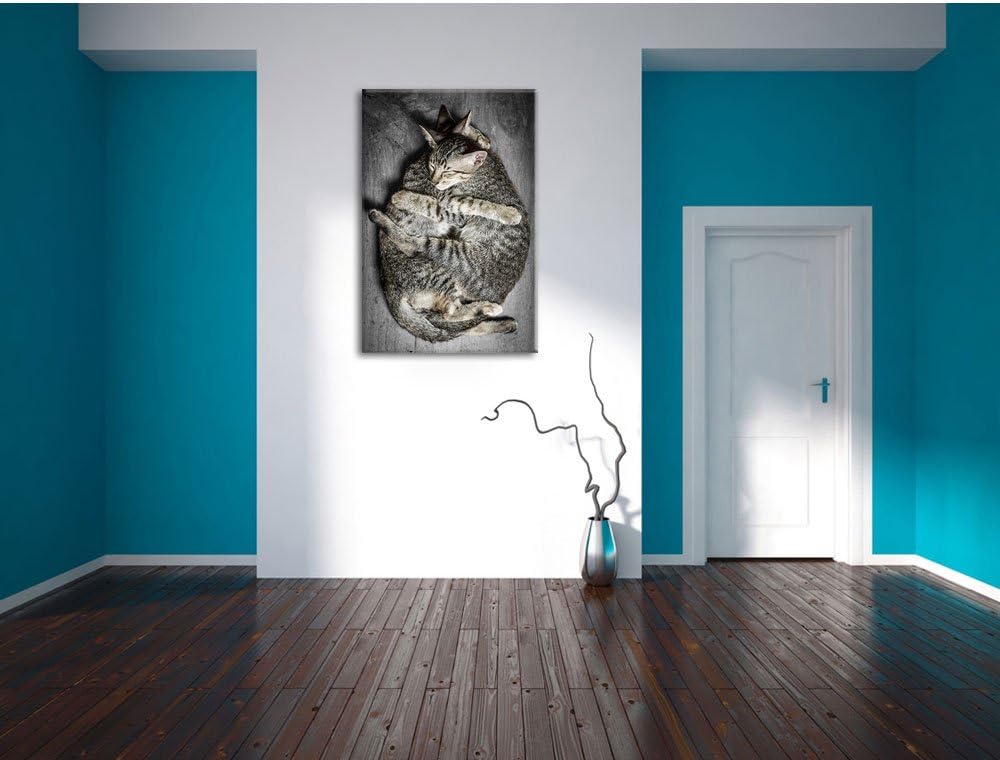 Pixxprint Kuschelnde Katzen als Leinwandbild/Grösse: 100x70 / Wandbild/Kunstdruck/fertig bespannt, 1