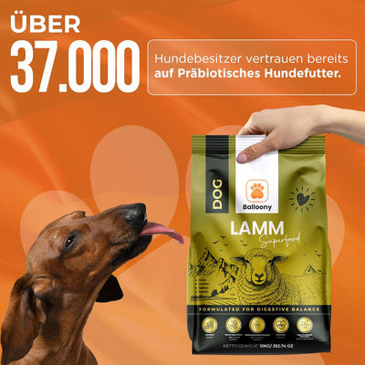 Hypoallergen | Getreidefreies Hundefutter trocken | Lamm & Reis | Magen schonend für ernährungssensi