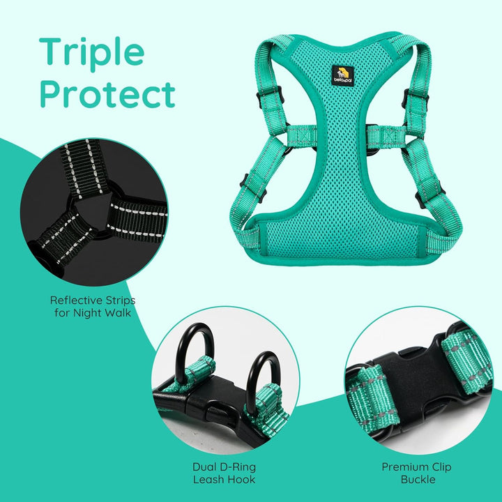 BELLA & PAL Hundegeschirr und Leine Set, Step-in Design mit atmungsaktivem Air-Mesh, reflektierenden