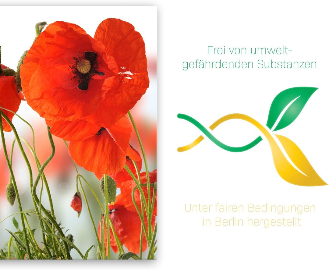 ge Bildet Bild auf Leinwand | Pflanzen Bilder - Mohn - Blumen Rot Natur in 50x50 cm als Wandbild | W