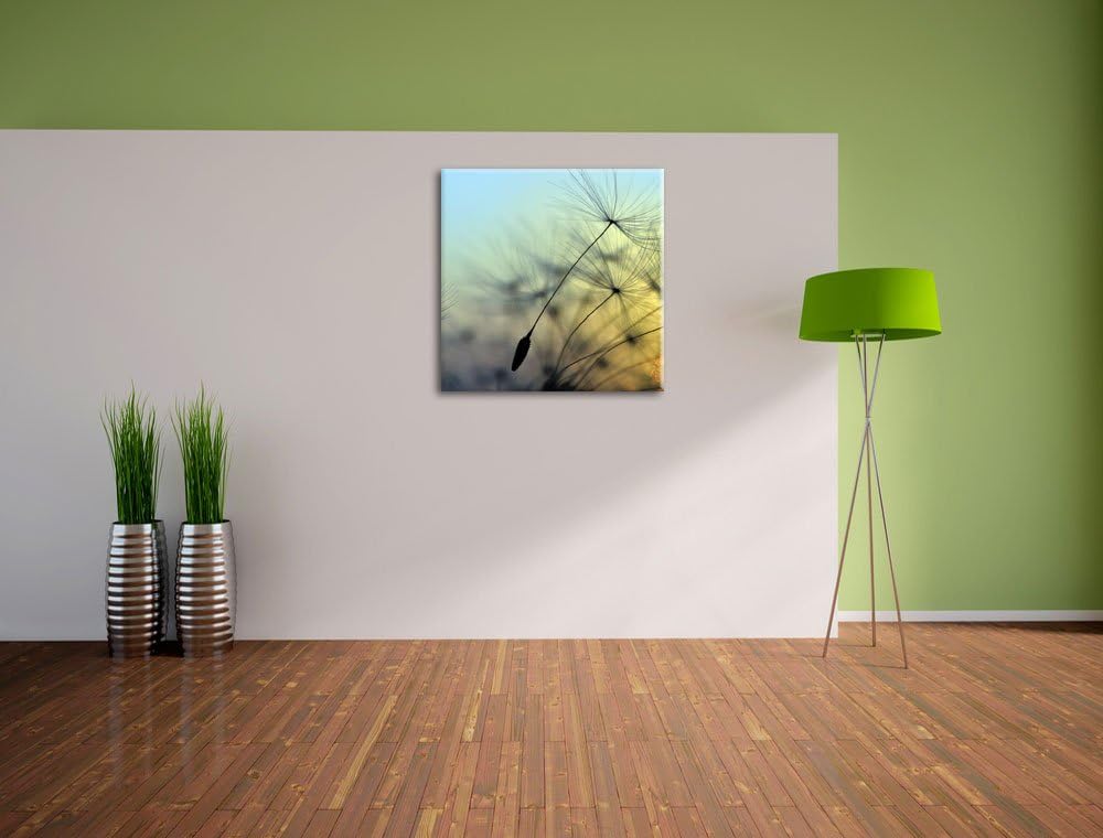 Pusteblumen mit Tautropfen, Format: 70x70 auf Leinwand, XXL riesige Bilder fertig gerahmt mit Keilra