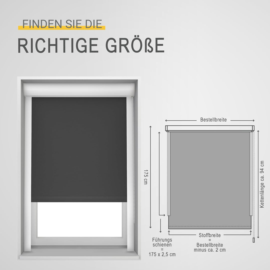 Sol Royal Kassettenrollo mit Führungsschiene SolReflect K24 100x175 cm Anthrazit - Blackout Thermoro