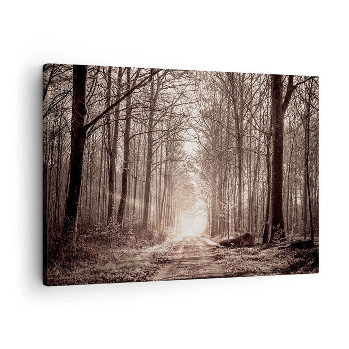 Bilder auf Leinwand Wald Strasse Baum Leinwandbild mit Rahmen 70x50cm Wandbilder Dekoration Wohnzimm