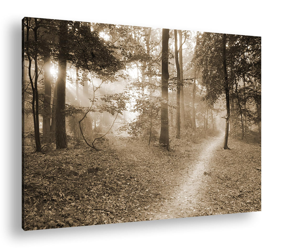 deyoli ruhiger Waldweg Format:90x60 cm Effekt: Sepia als Leinwandbild, Motiv fertig gerahmt auf Echt