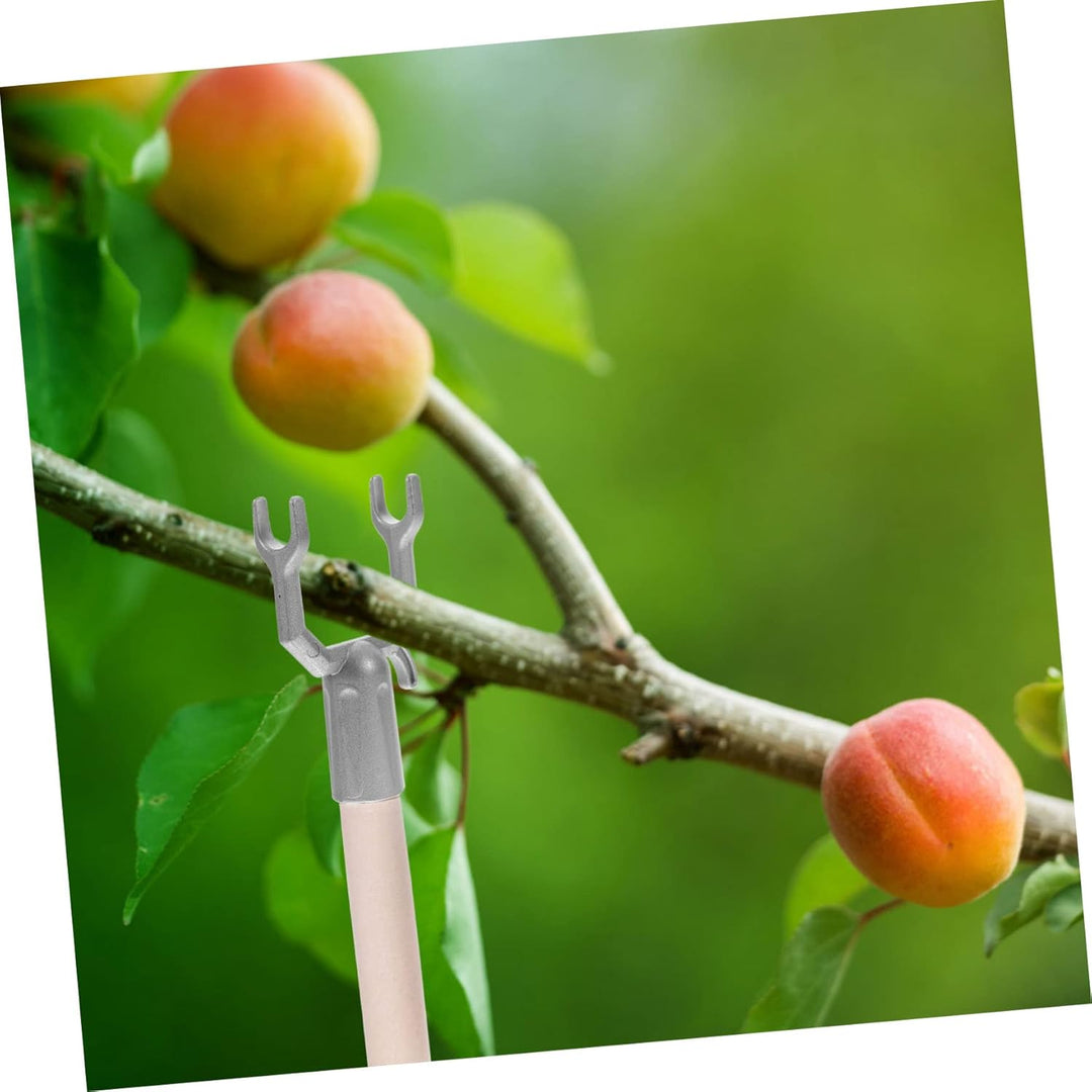 Yardwe 30 STK Abzweigstecker Baumpfähle Baumhalter Baum Steht Pfähle Für Pflanzen Gartenzubehör Baum