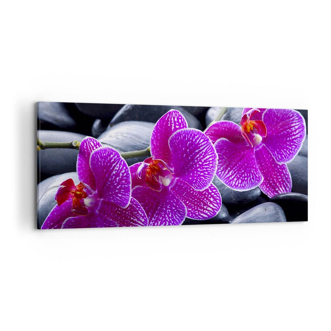 Wandbilder Dekoration Wohnzimmer Blumen Steine Violett Aromatherapie Bilder auf Leinwand 120x50cm Le
