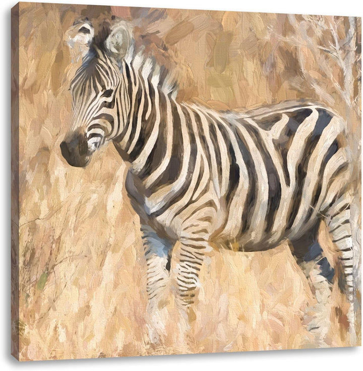 Anmutiges Zebra in Savanne, Format: 70x70 auf Leinwand, XXL riesige Bilder fertig gerahmt mit Keilra