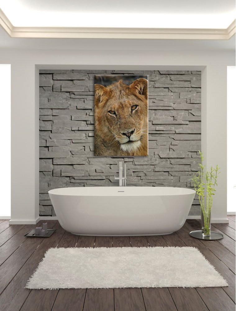 Pixxprint Löwenteenager Leinwand, XXL riesige Bilder fertig gerahmt mit Keilrahmen, Kunstdruck auf W