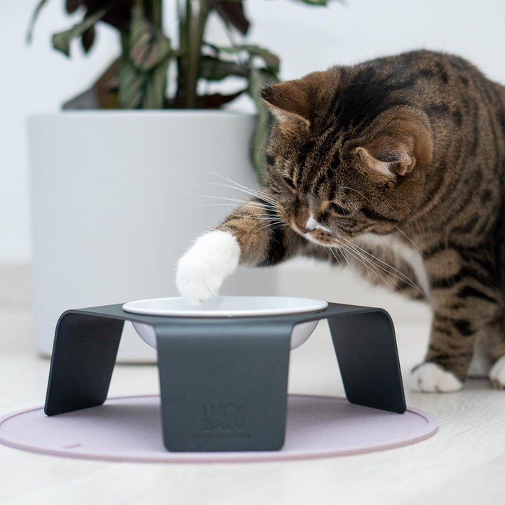 LucyBalu® Ergonomischer Katzennapf erhöht | Erhöhter Futternapf für Katzen | Ergonomischer Fressnapf
