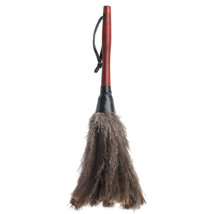 Redecker Straussenfeder-Staubwedel mit Buchenholzgriff, 35 cm