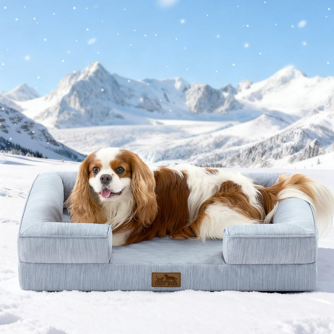 COZY KISS Kühlendes Hundebett Grosse Hunde, Q-Max>0.4 Sommer Hundekorb Selbstkühlend, 0rthopädisches