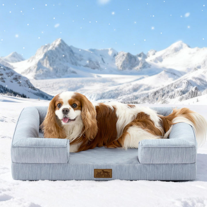 COZY KISS Kühlendes Hundebett Grosse Hunde, Q-Max>0.4 Sommer Hundekorb Selbstkühlend, 0rthopädisches