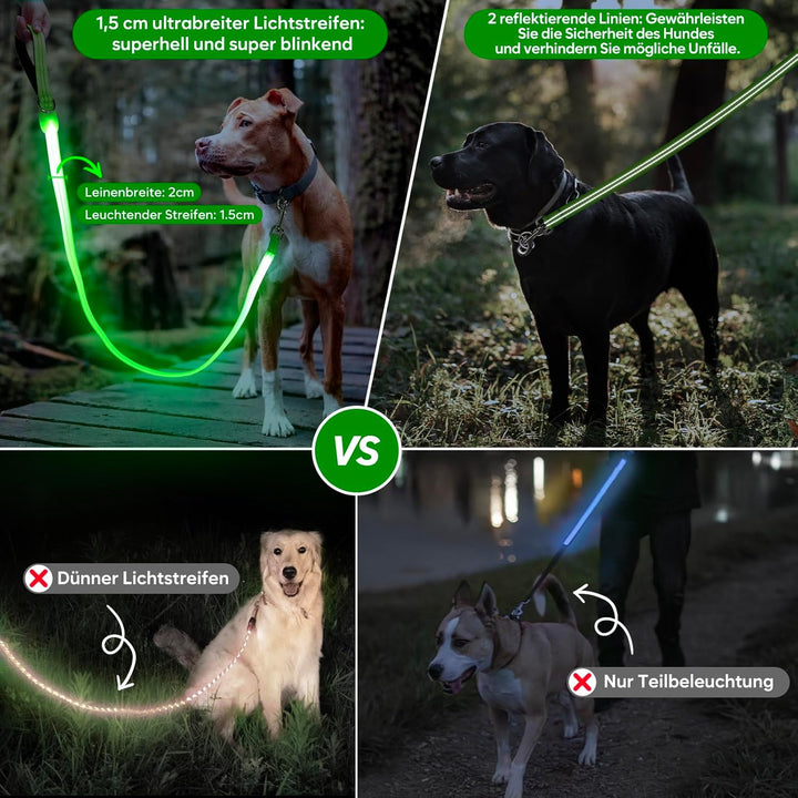ChalkLit LED Hundeleine, Beleuchtete Hundeleine über USB Wiederaufladbar, 1,2 m, Weich Wasserdicht R