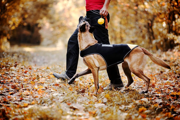 Julius-K9, IDC Neoprene Hundekleidung, Size: L, Schwarz und Gelb L Schwarz und Gelb, L Schwarz und G