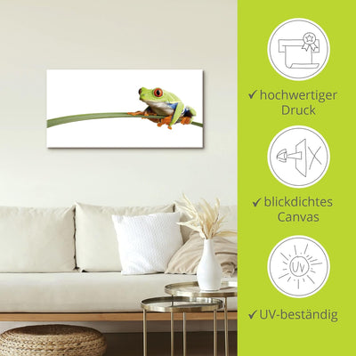 ARTland Leinwandbilder Wandbild Bild auf Leinwand 100x50 cm Frosch Tiere Natur Pflanze Blätter Gräse