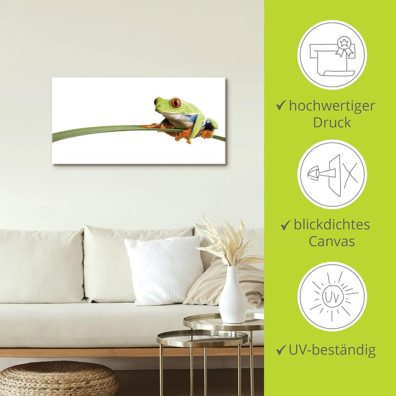 ARTland Leinwandbilder Wandbild Bild auf Leinwand 100x50 cm Frosch Tiere Natur Pflanze Blätter Gräse