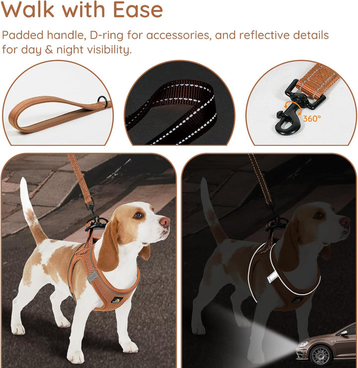BELLA & PAL Hundegeschirr Kleine Hunde mit Leine, Step-in Geschirr aus Air Mesh, Anti Zug Reflektier