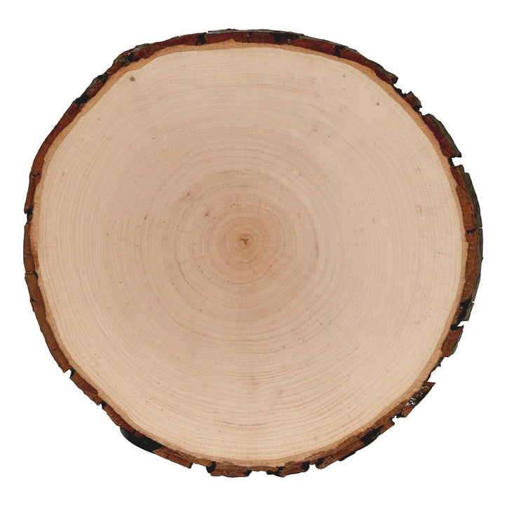 Rindenbrett Esche rund - Rindenscheibe Baumscheibe geschliffen Holzbrett, Brettgrösse:Ø ca. 24cm, &#