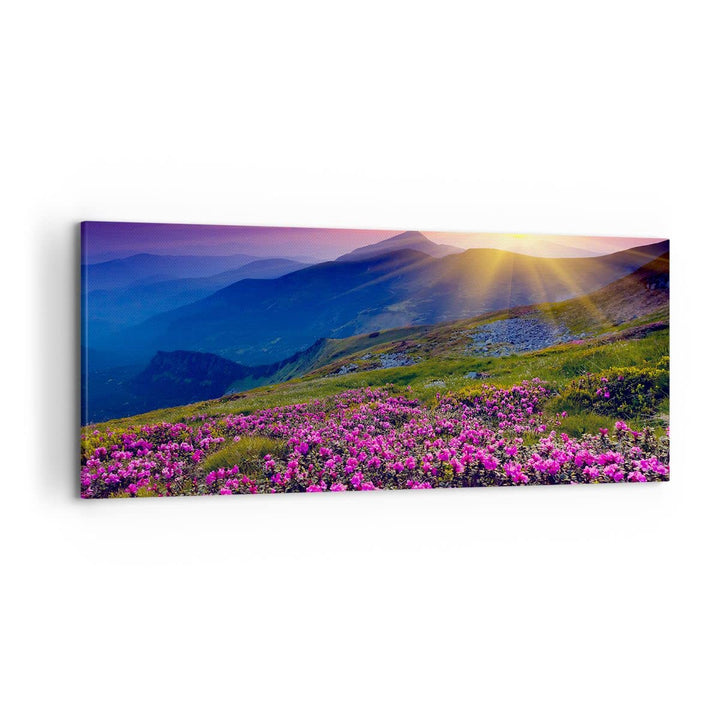 Wandbilder Dekoration Wohnzimmer Wiese Berge Landschaft Panorama Bilder auf Leinwand 120x50cm Leinwa
