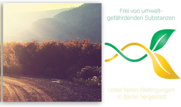 ge Bildet Bild auf Leinwand | Landschaftsbilder - road in forest E in 120x40 cm mehrteilig als Panor