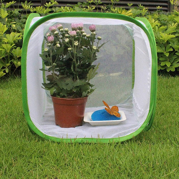 Fdit Grosser Schmetterlingskäfig, zusammenklappbarer Caterpillar Habitat Collapsible und Butterfly H