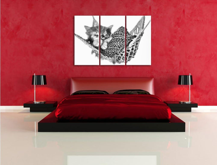 Pixxprint Monocrome, Schlafendes Katzenbaby in Hängematte 3-Teiler Leinwandbild 120x80 Bild auf Lein