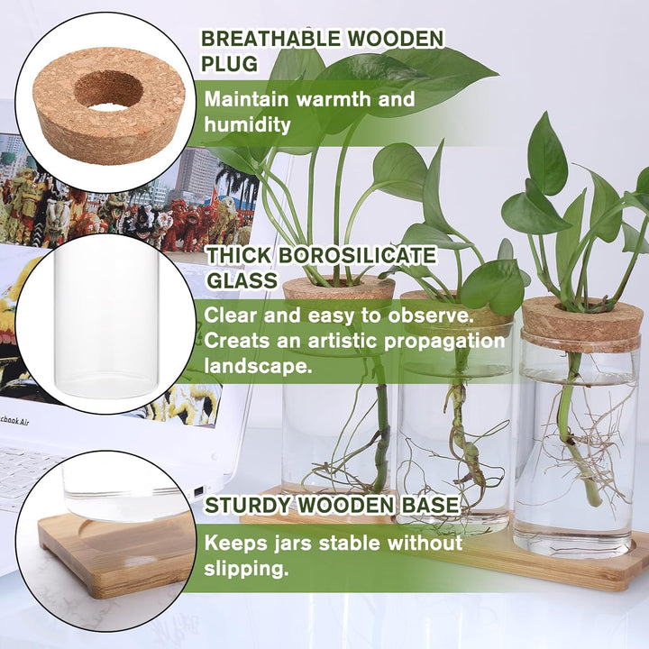 Fentar Ableger Pflanzen Glas, Propagation Station mit Holzsockel und Stecker, 3Stk Kleine Vasen für