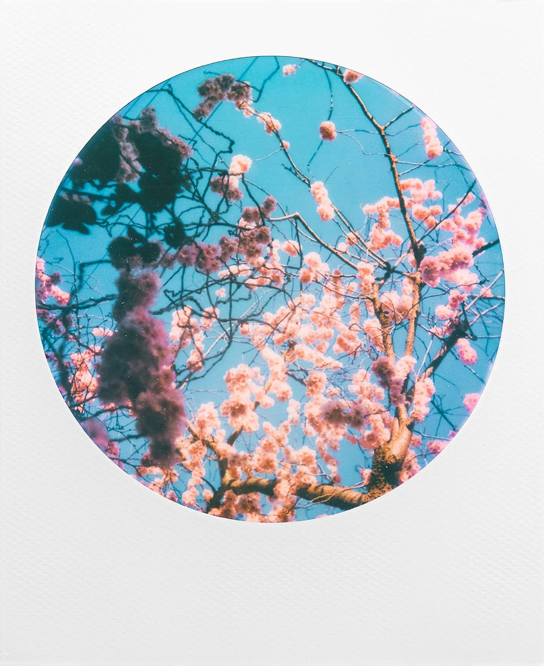 Polaroid Color Film für 600 - Round Frame, 8 Filme Round Frame Edition 8 Filme, Round Frame Edition