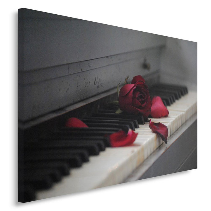 Feeby. Wandbild - 1 Teilig - 60x80 cm, Leinwand Bild Leinwandbilder Bilder Wandbilder Kunstdruck, KL