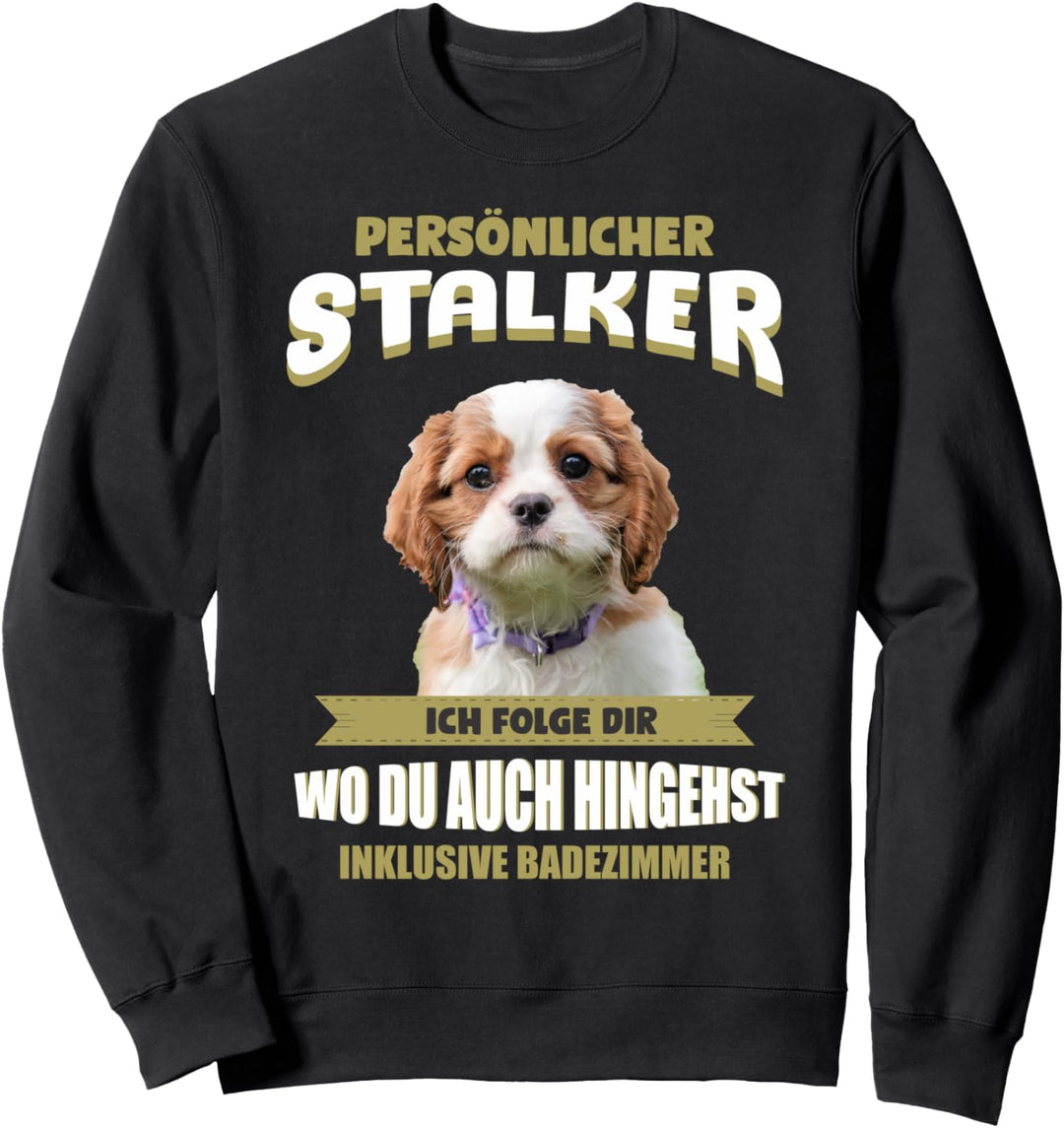 Cavalier King Charles Spaniel Hund - Cavalier King Charles Sweatshirt