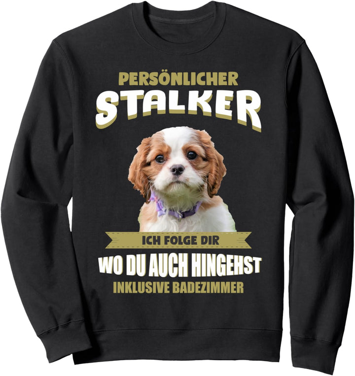 Cavalier King Charles Spaniel Hund - Cavalier King Charles Sweatshirt