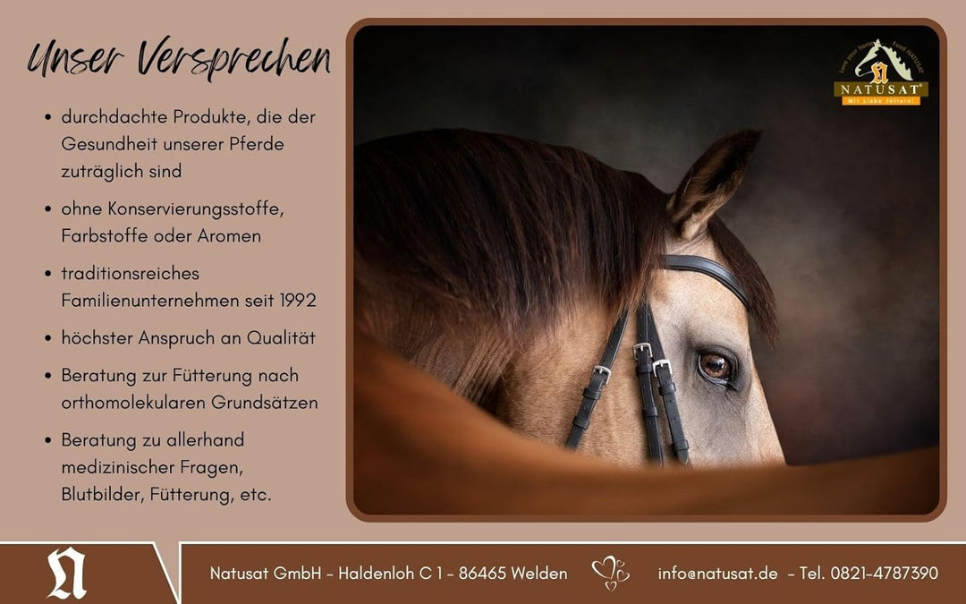 Natusat A-Horse 2100 g | mit Glucosamin, MSM, Chondroitin und L-Lysin | Für Pferdegelenke
