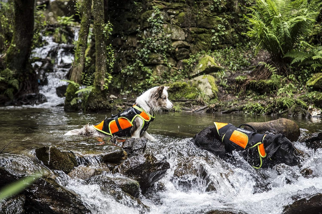 IDC Multifunktionale Hundeweste 3in1, Grösse: M, Schwarz und Neon M Schwarz und