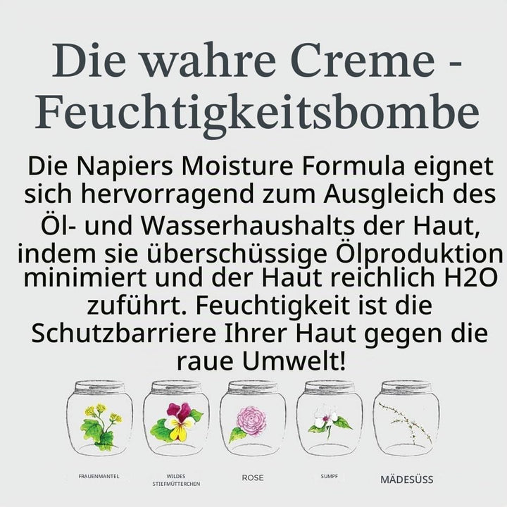 Belif True Cream Moisturizing Bomb 50ml, Langanhaltende Gesichtscreme, Kräutermischung, Glättende Le