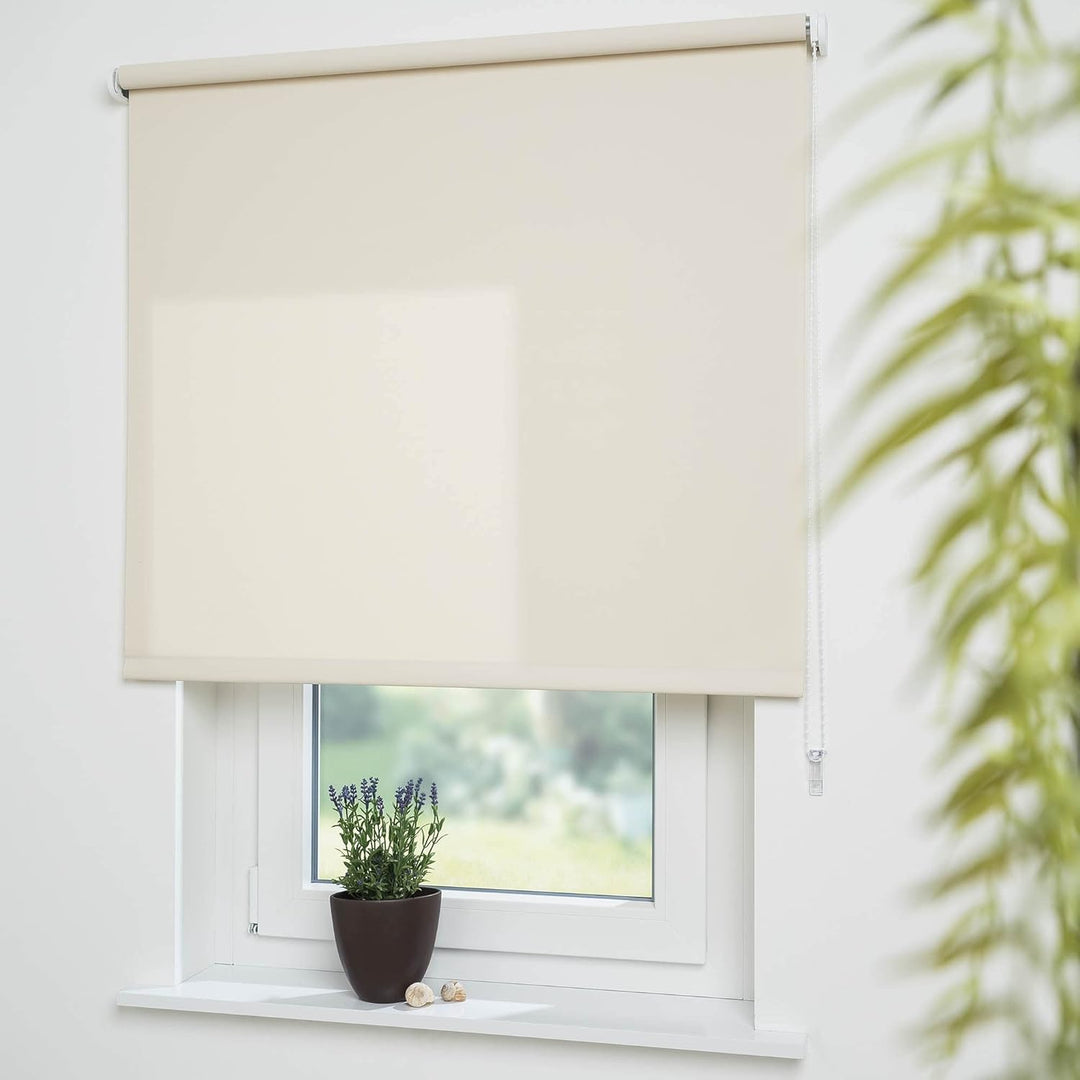 Liedeco® Rollo, Fenster Rollo, Kettenzug-Rollo / 162 x 180 cm (Breite x Höhe), Cream/lichtdurchlässi