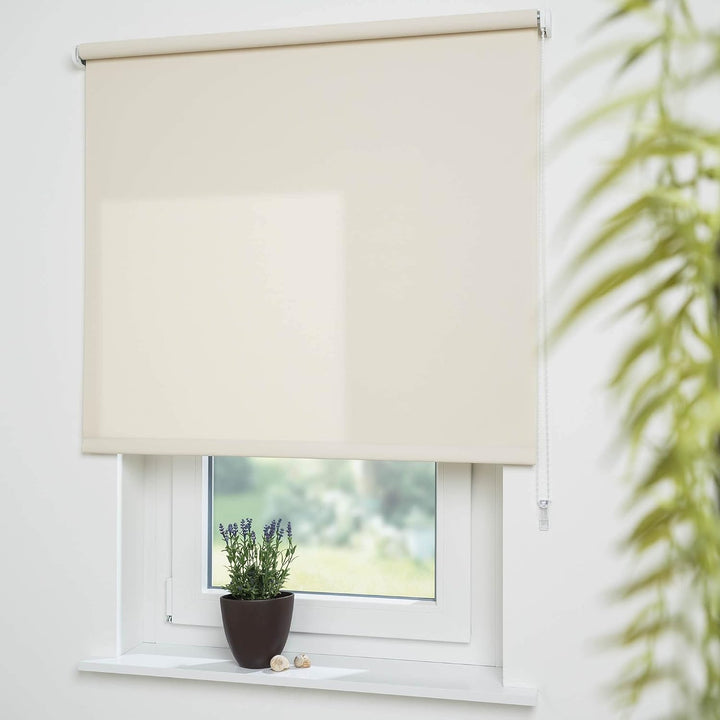 Liedeco® Rollo, Fenster Rollo, Kettenzug-Rollo / 162 x 180 cm (Breite x Höhe), Cream/lichtdurchlässi