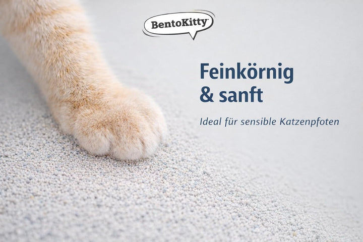 BentoKitty Katzenstreu (20L, 2er Pack) mit Aktivkohle, Klumpend, weiss, feinkörnig, Klumpstreu aus B