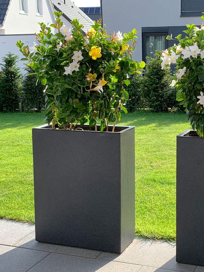 Pflanzwerk® Pflanzkübel Cube Granit Anthrazit 30x34x34cm *Frostbeständiger Blumenkübel* *UV-Schutz*