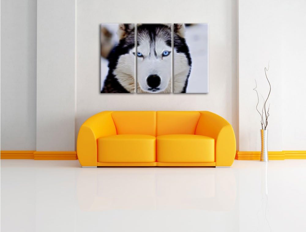 Pixxprint Husky Neon Lights Effekt 3-Teiler Leinwandbild 120x80 Bild auf Leinwand