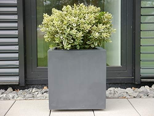Pflanzkübel für Rollen aus Fiberglas in anthrazit - Grösse (LxBxH): 60x60x60 cm, 60x60x60 cm