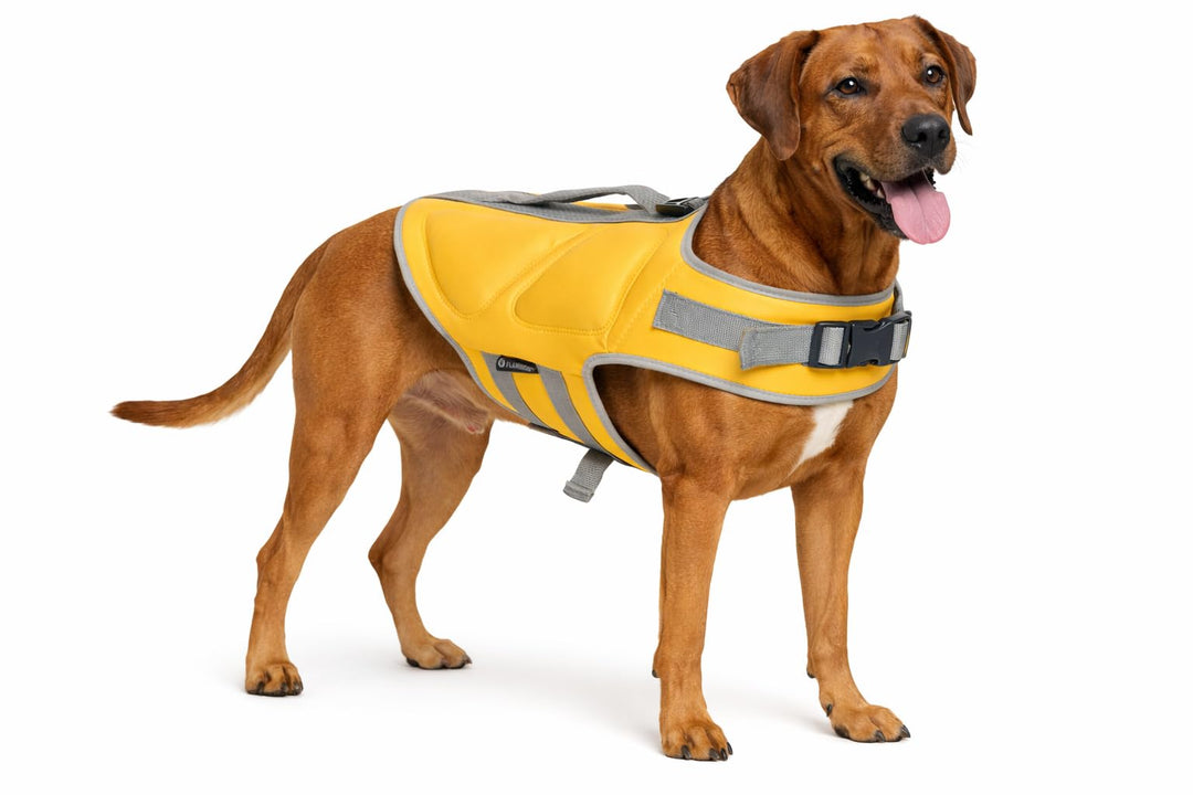 schwimmweste Hund - Flamingo Swimmy gelb - XL A:46,5 cm B:56-63 cm C:76-84,5 cm - Polyester - EPE-Sc