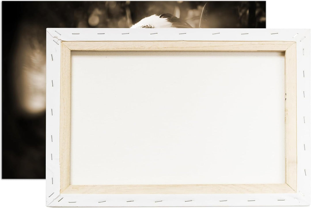 deyoli stolze Indianerin Format: 80x60 Effekt: Sepia als Leinwand, Motiv fertig gerahmt auf Echtholz