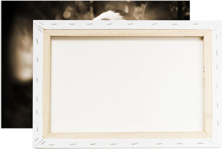 deyoli stolze Indianerin Format: 80x60 Effekt: Sepia als Leinwand, Motiv fertig gerahmt auf Echtholz