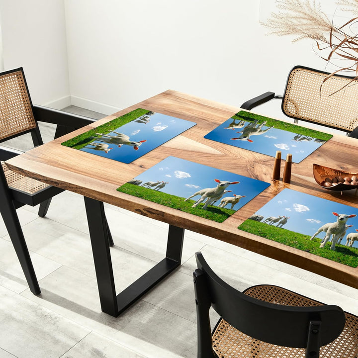 KitchenYeah© Platzsets Abwaschbar 6-Teilig 45x30 cm Tischsets Platzdeckchen Platzset Unterlage Tisch