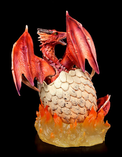 Drachen Figur Feuerdrache schlüpft aus Ei 20,5 cm | Fantasy Deko Statue