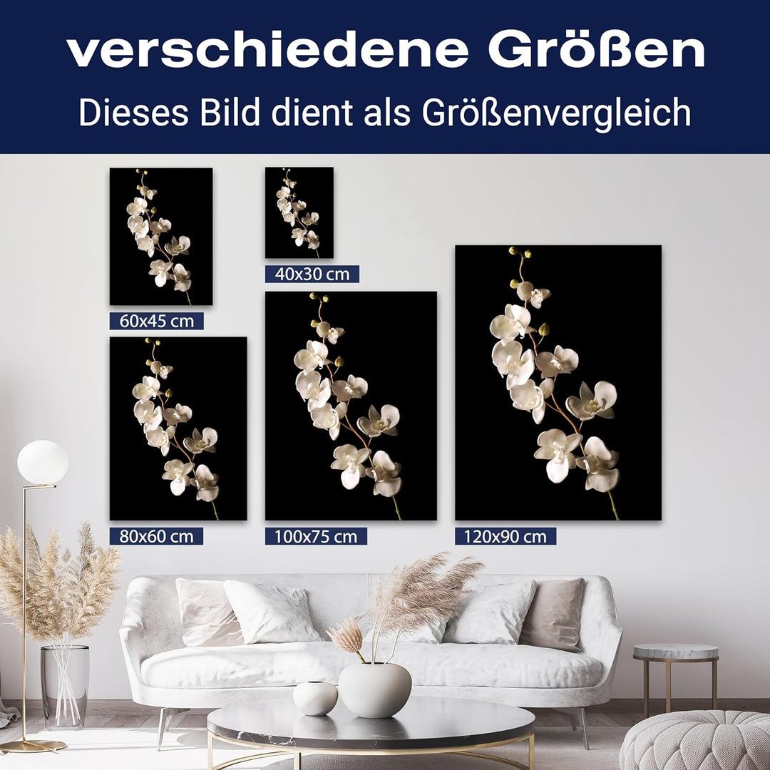 wandmotiv24 Leinwandbild Natur 60x45cm, Hochformat, Blumen, Orchidee, Deko, Bilder auf Leinwand, Wan